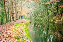 Couple walking a dog along a leaf-covered path beside a calm canal surrounded by autumn trees.