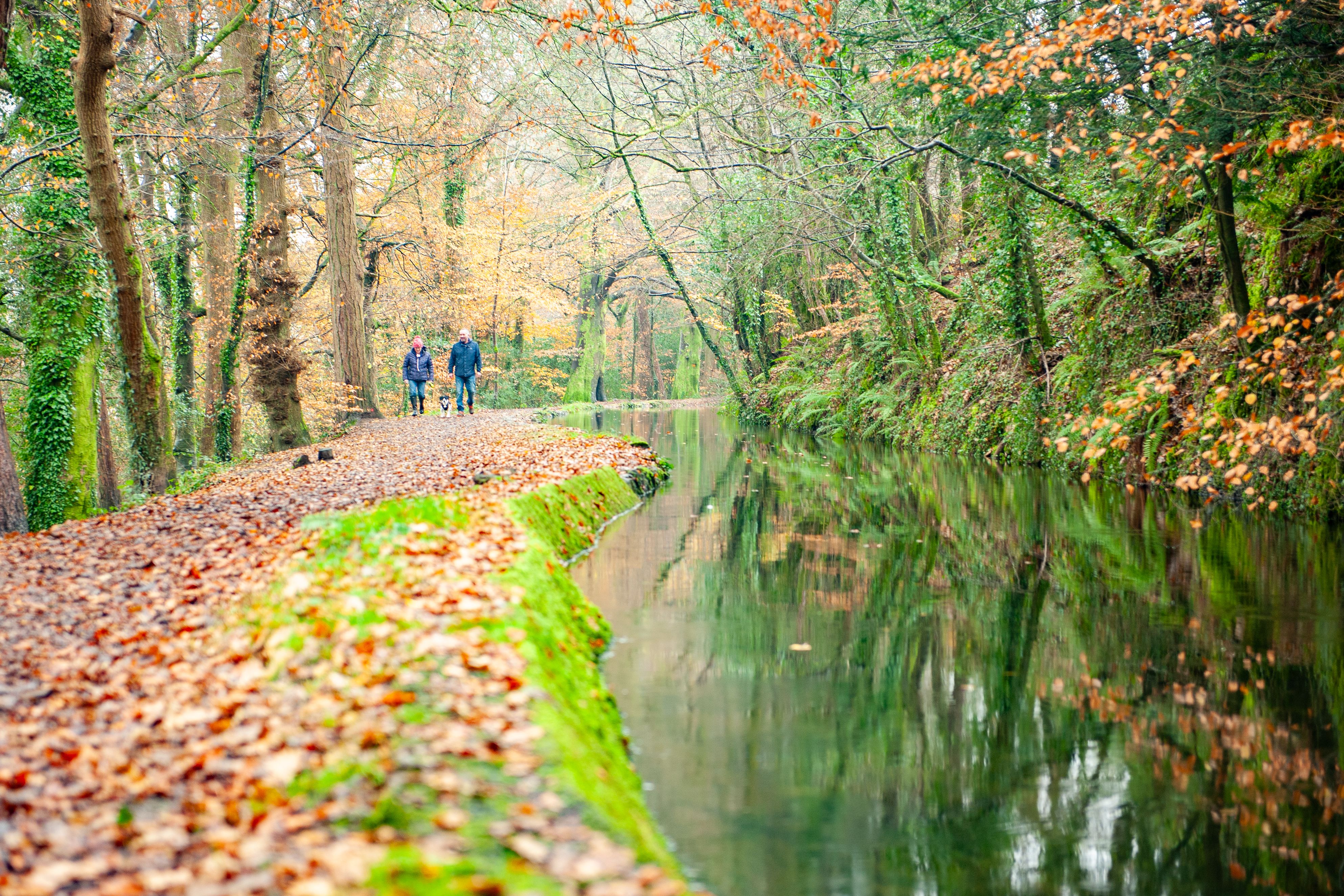 Couple walking a dog along a leaf-covered path beside a calm canal surrounded by autumn trees.
