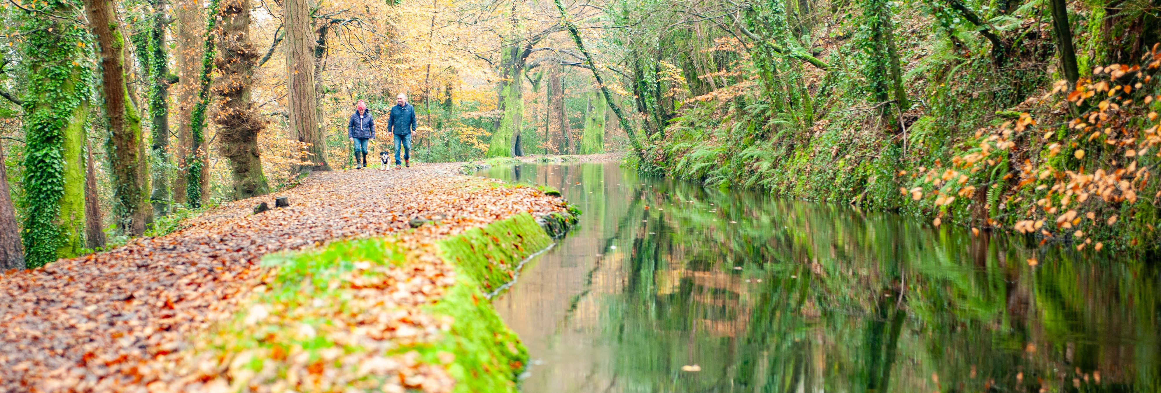 Couple walking a dog along a leaf-covered path beside a calm canal surrounded by autumn trees.