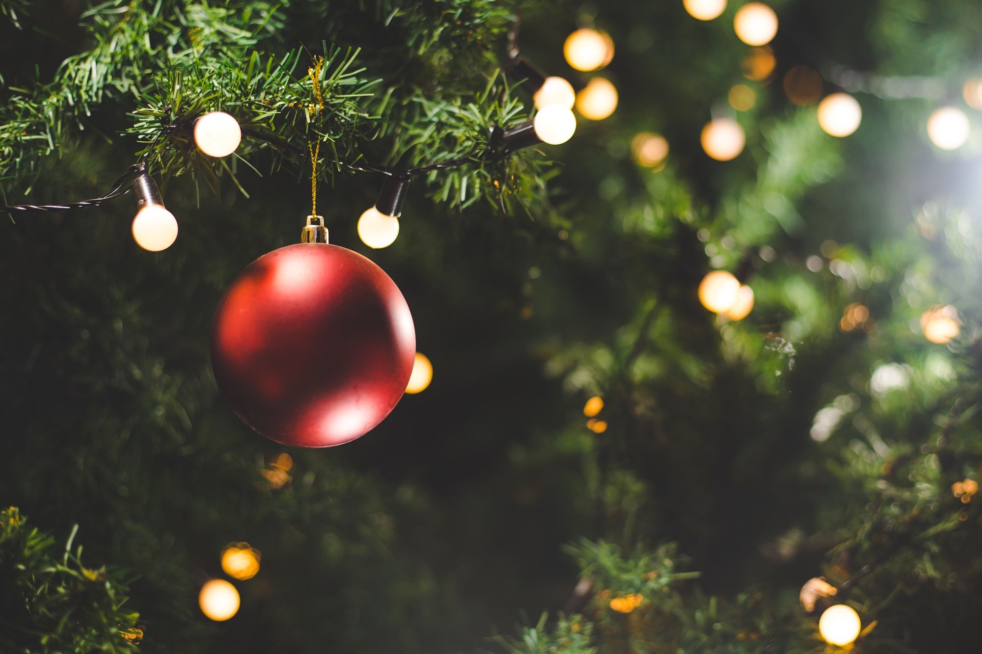 Close-up of a red Christmas ornament hanging on a decorated tree with string lights.