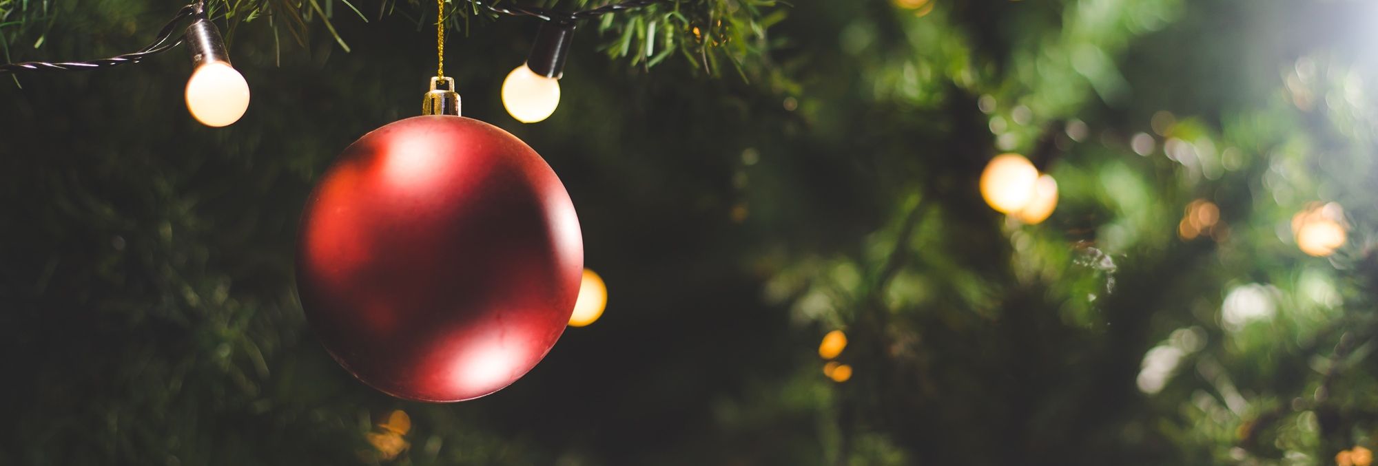 Close-up of a red Christmas ornament hanging on a decorated tree with string lights.