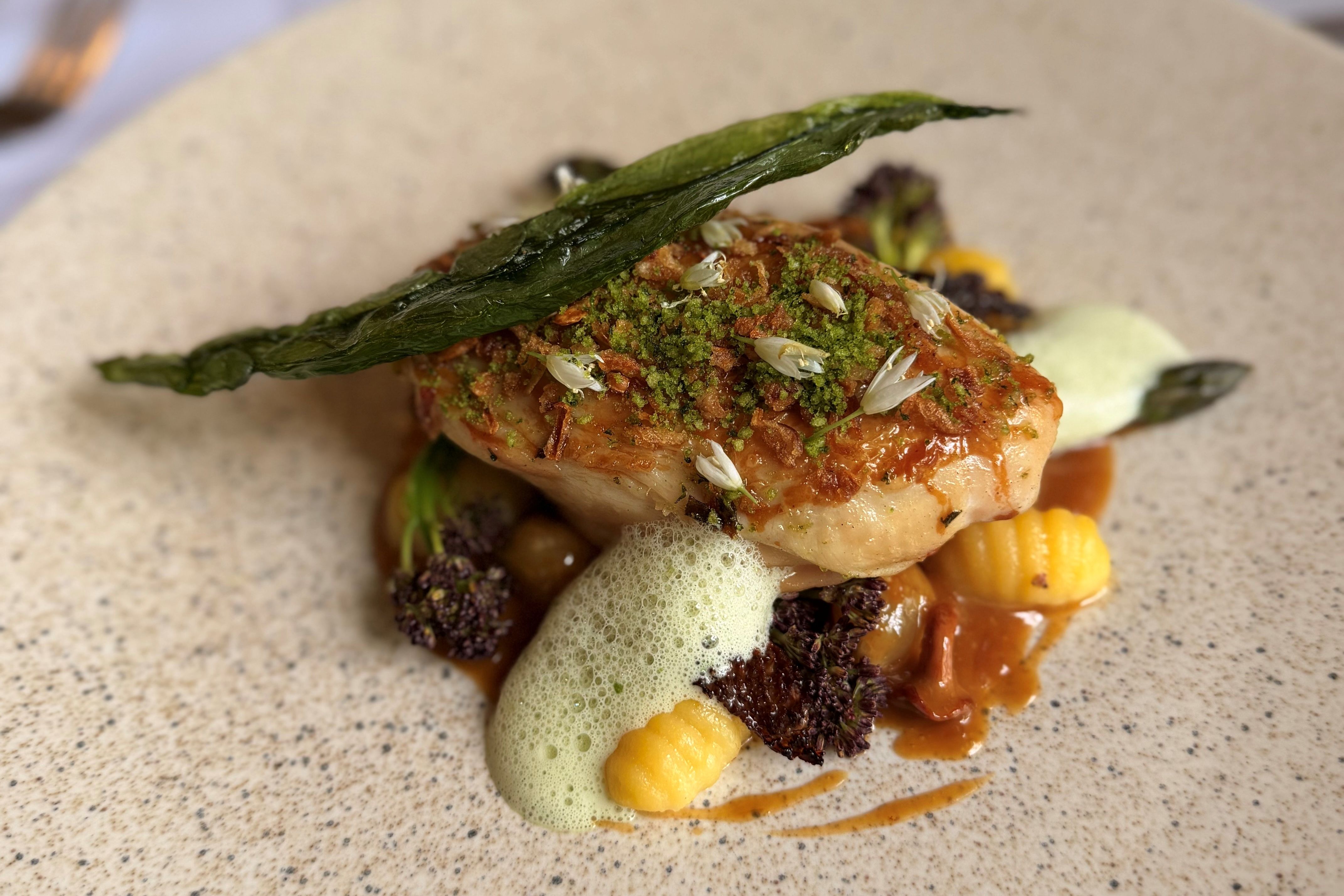 Gourmet chicken dish with green garnish, asparagus, gnocchi, and sauce on a ceramic plate