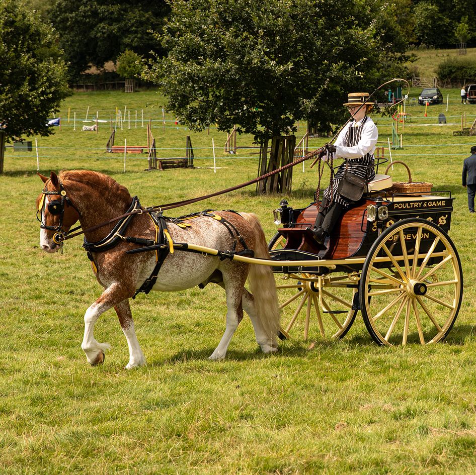 Person driving a horse-drawn carriage labeled 'Poultry & Game' in a grassy field.