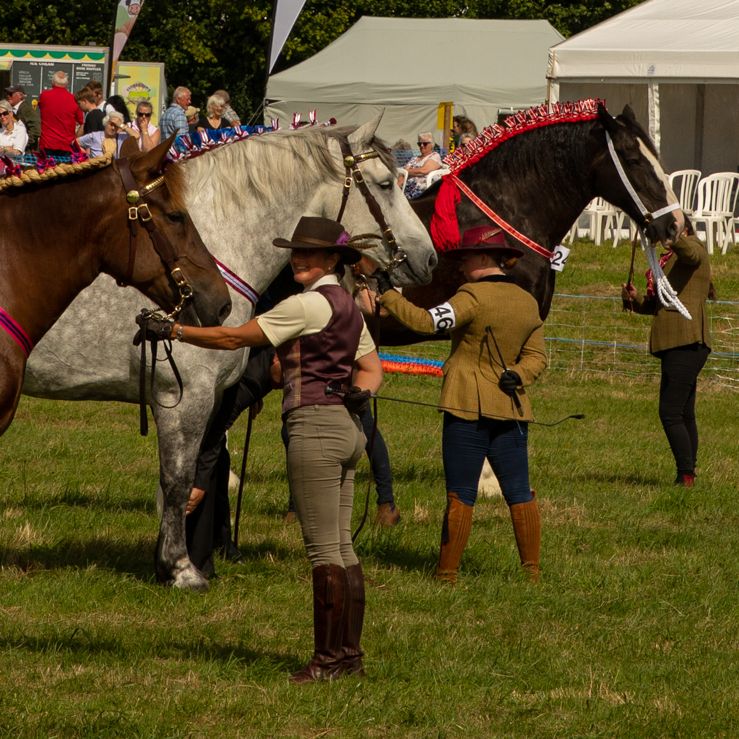 Women leading decorated horses at an outdoor horse show with spectators and tents in the background.