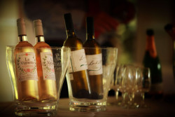 Bottles of Wine