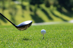 Golf at The Bedford
