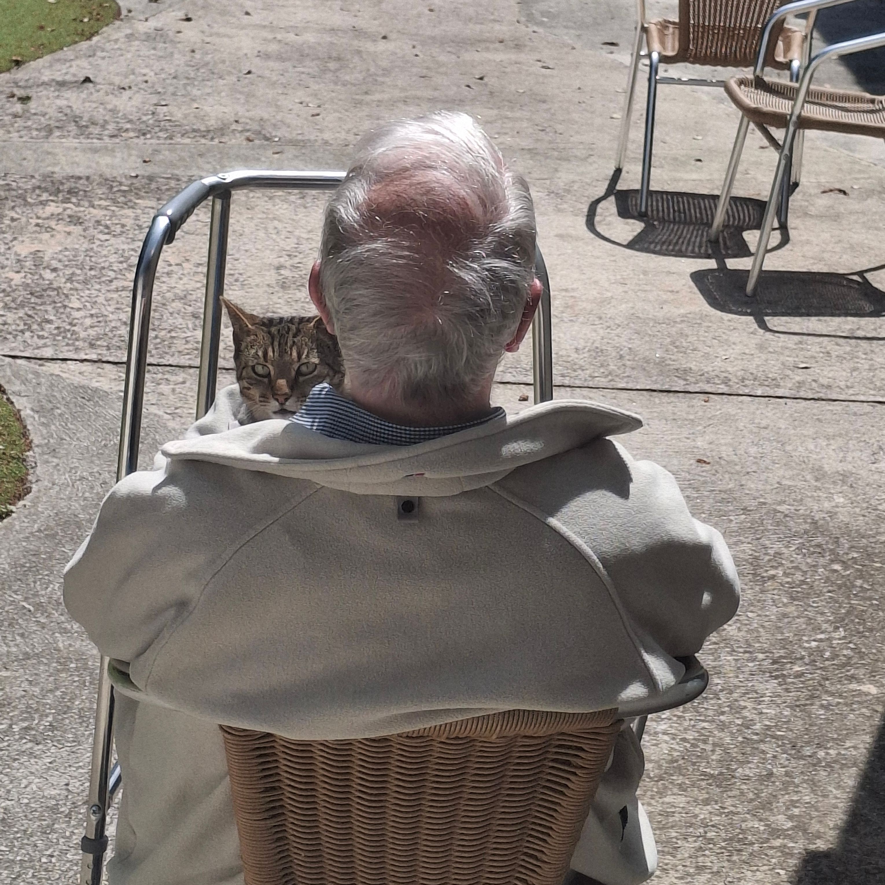Elderly person sitting in a chair outdoors with a cat perched on their lap, seen from behind.