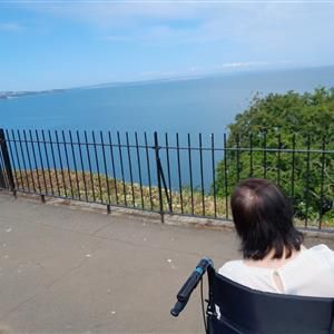 Person in a wheelchair looking out over a seaside view with a metal fence and clear blue sky.