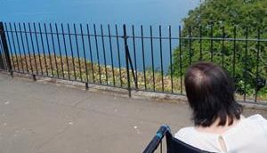 Person in a wheelchair looking out over a seaside view with a metal fence and clear blue sky.