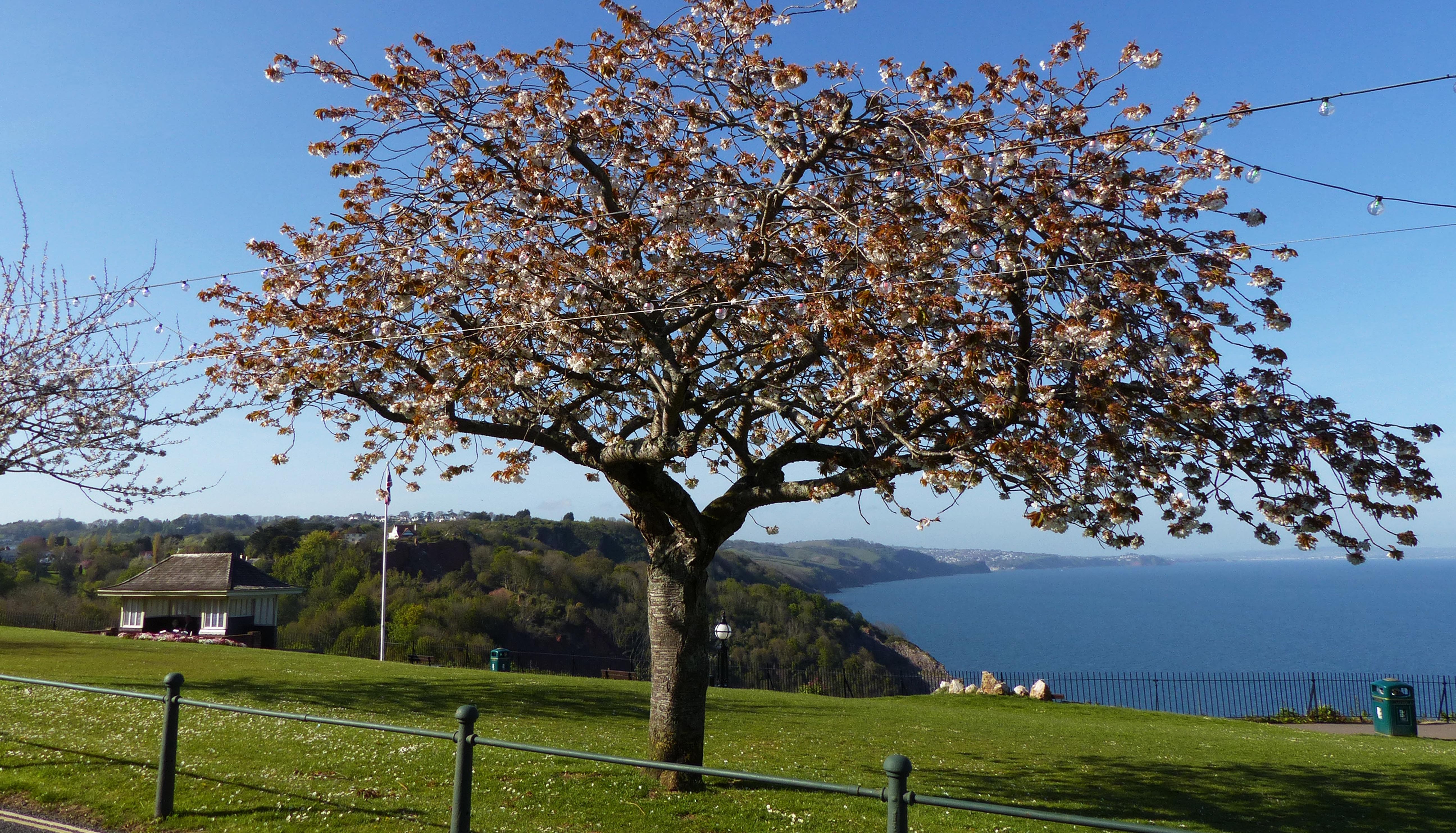 Babbacombe Downs
