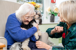 Elderly Woman Cuddling Small Dog