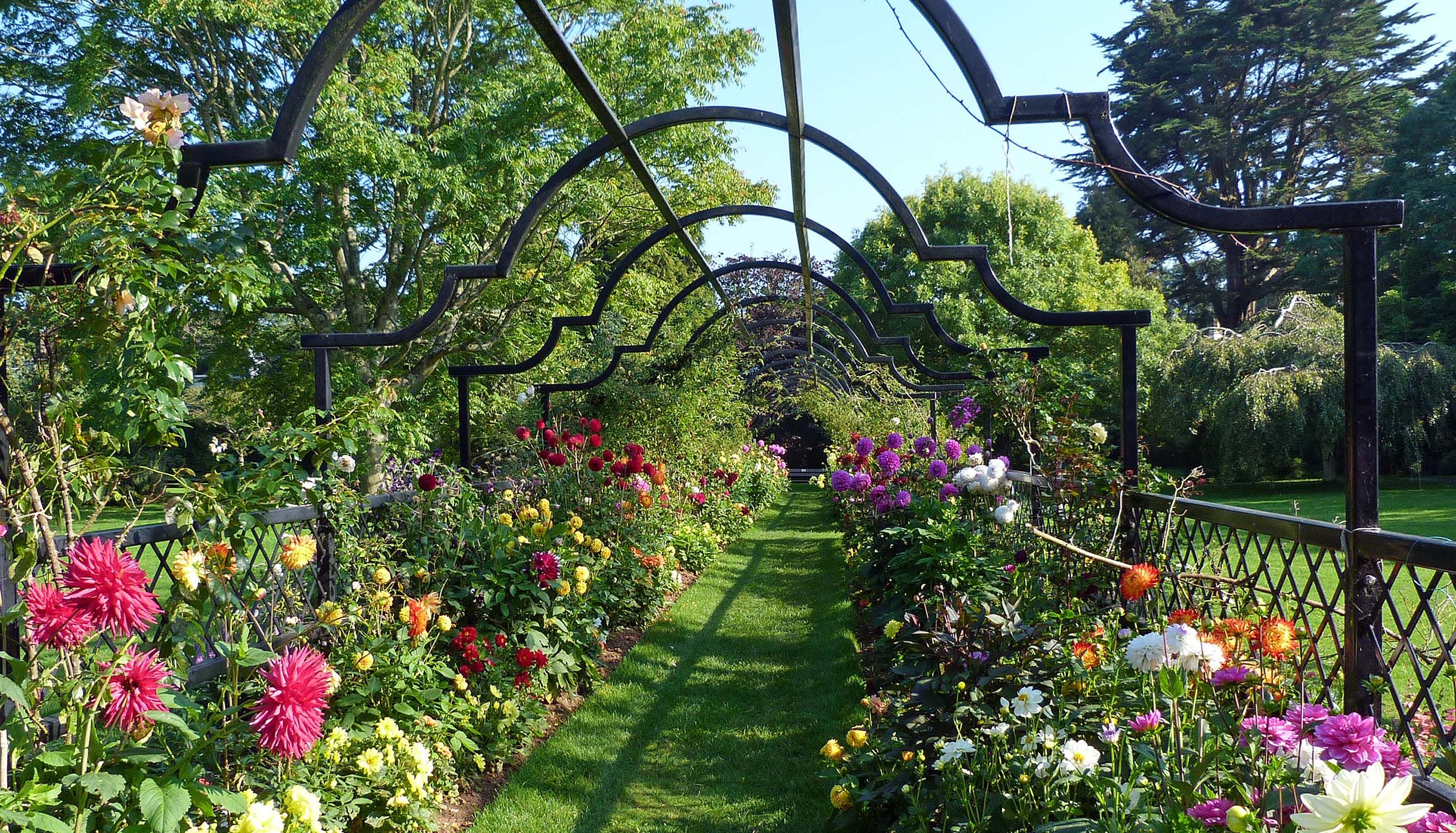 Beechcroft - 20150903 tessier gardens P1270462a