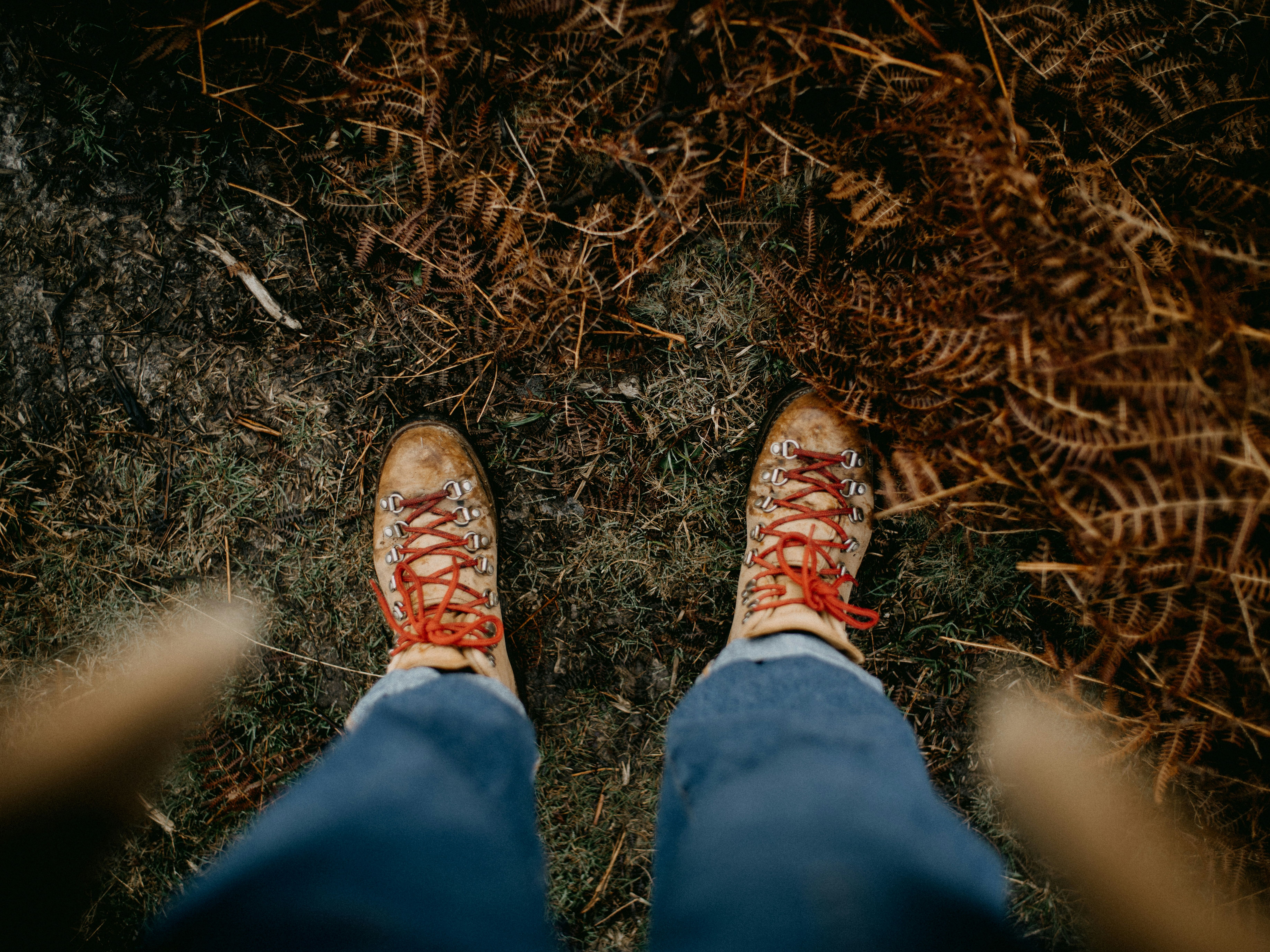 Person wearing hiking boots with red laces standing on muddy ground next to dry brown ferns
