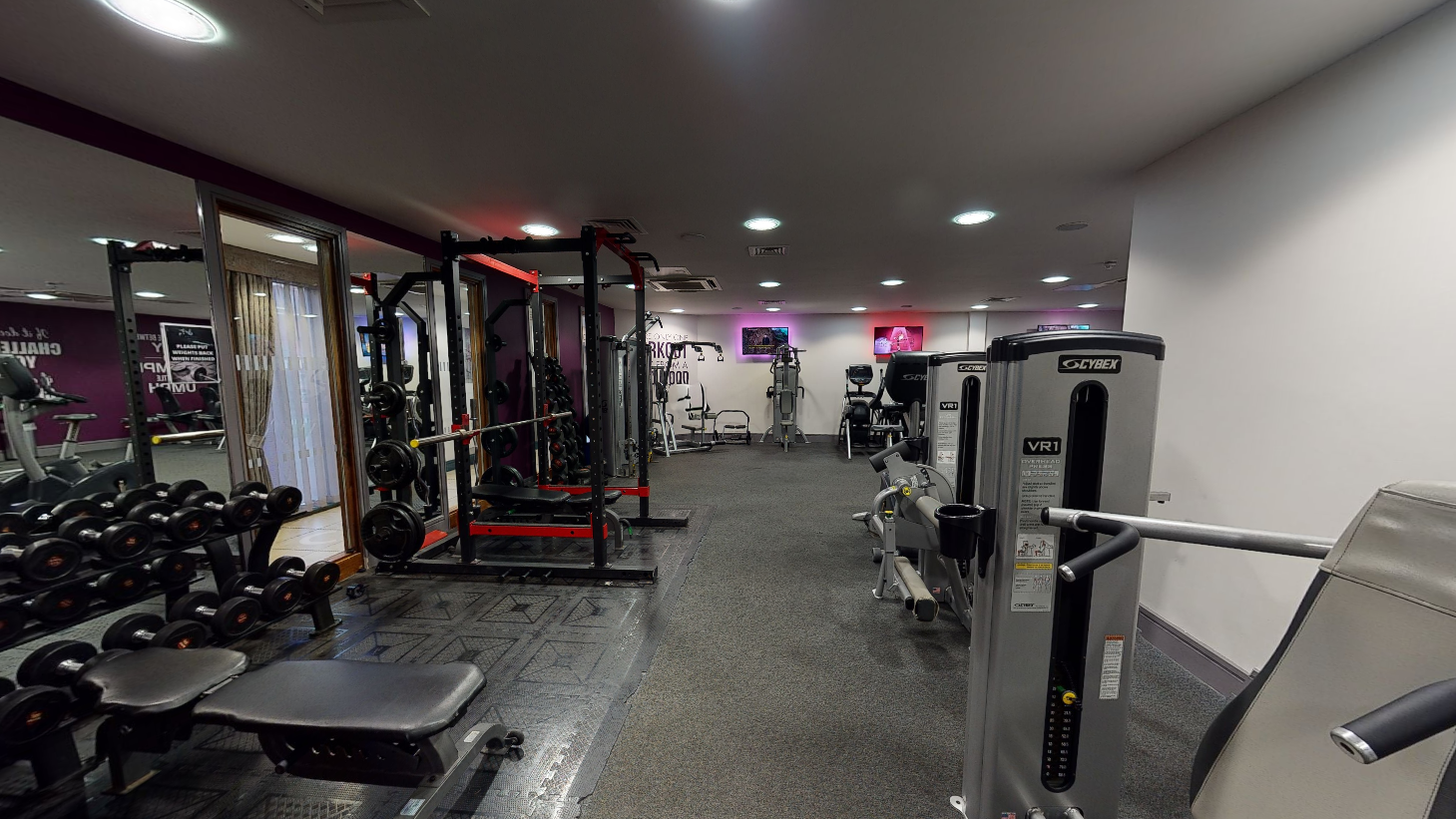 Modern gym with various workout machines and free weights