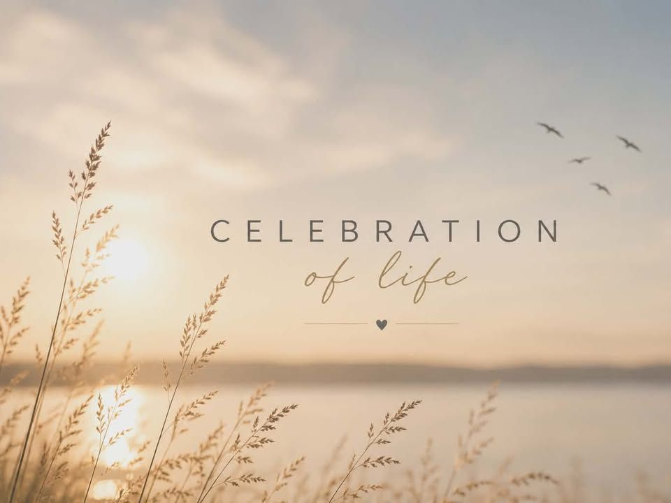 Celebration of life text on a serene sunset background with birds flying and grasses in the foreground.