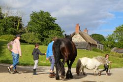 Bos children and ponies