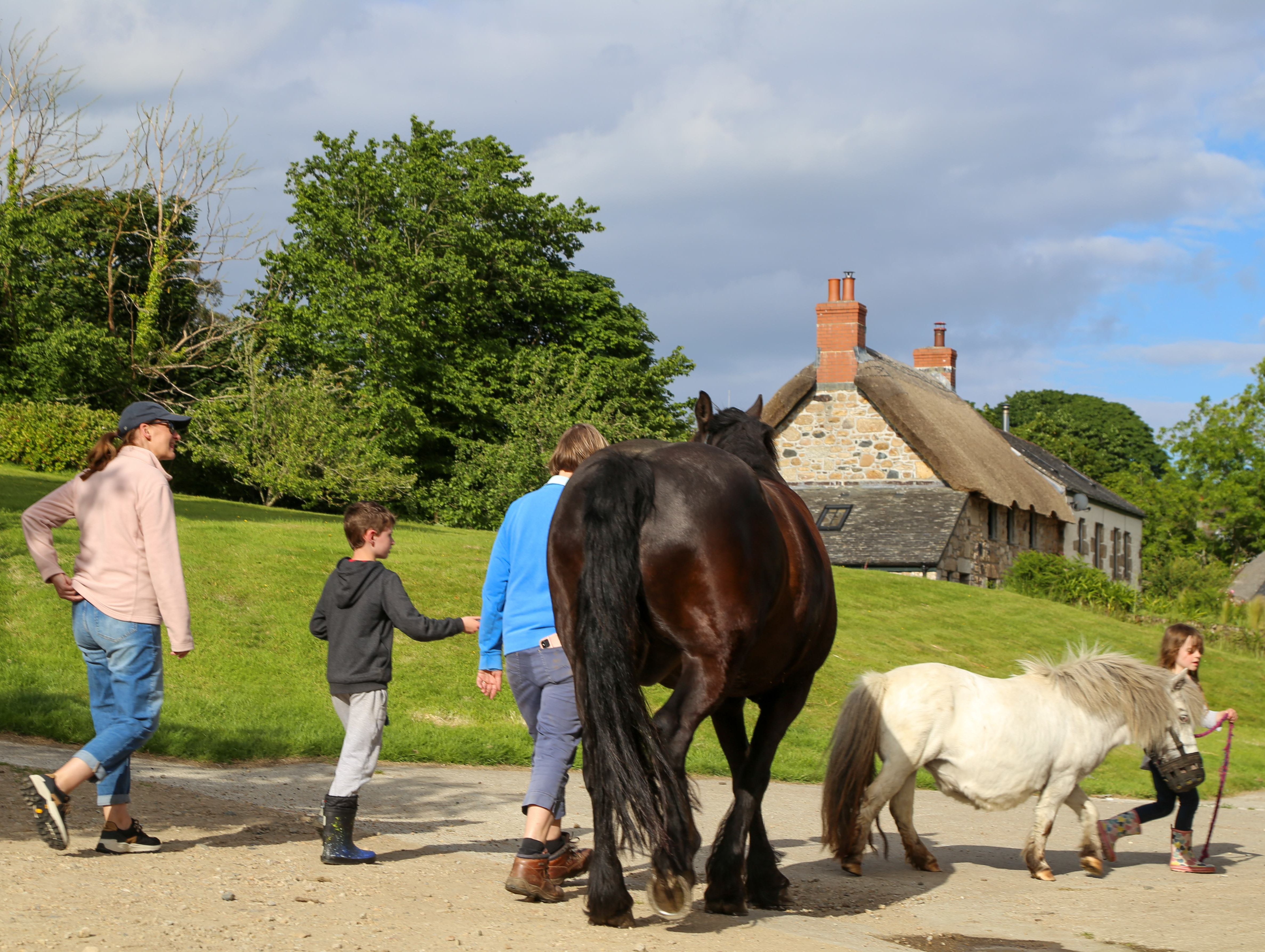 Bos children and ponies