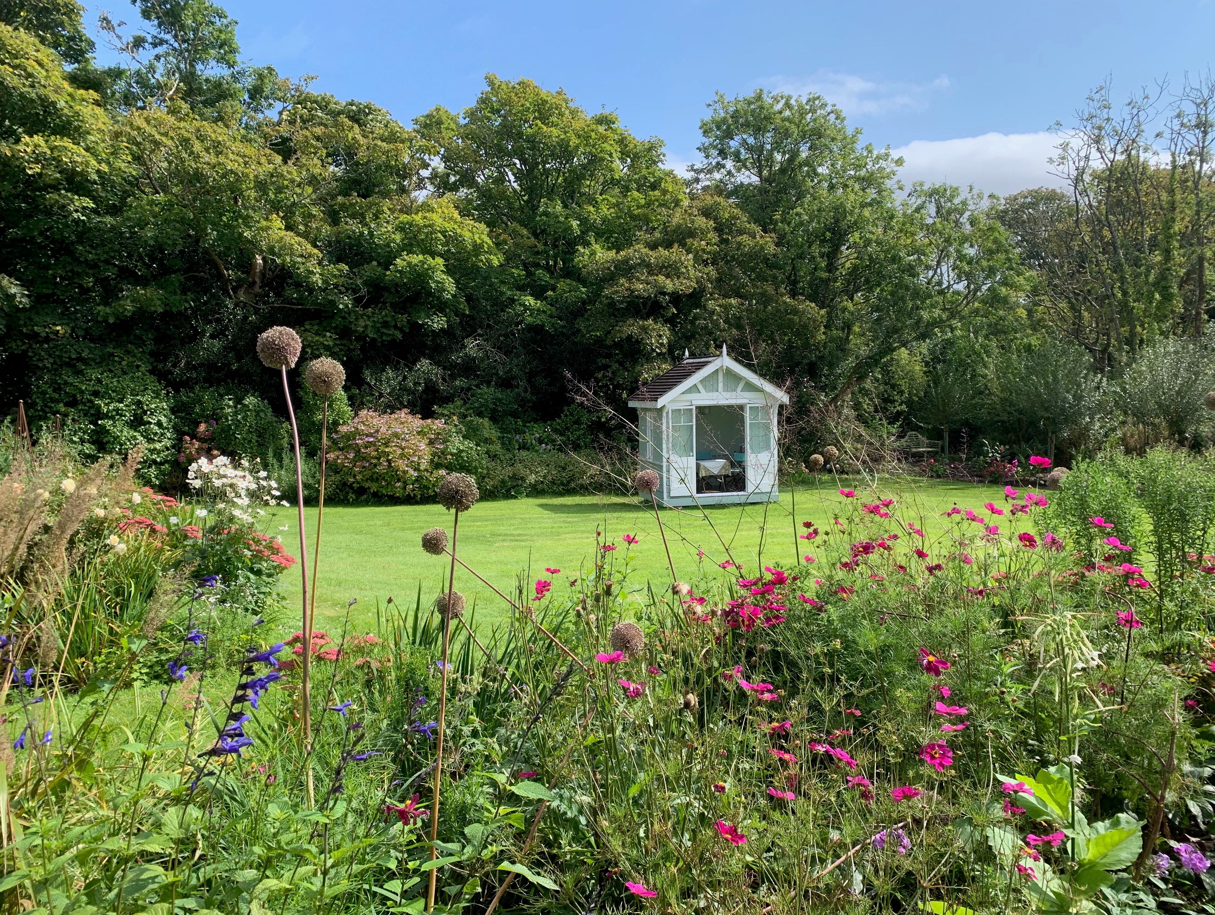 Boscrowan cosmos alliums and summerhouse