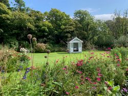 Boscrowan cosmos alliums and summerhouse