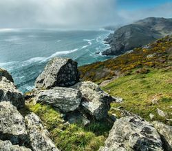 Coastal