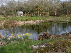 Wildlife Pond
