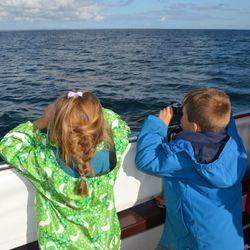 Boat trip