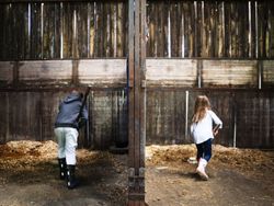 Pony Care