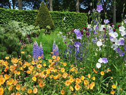 Gardens