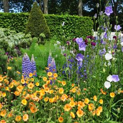 Gardens