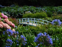 Trebah Garden