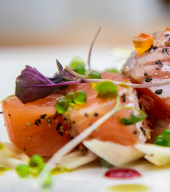 Burnside_101-1500x630