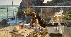Dogs on loungers