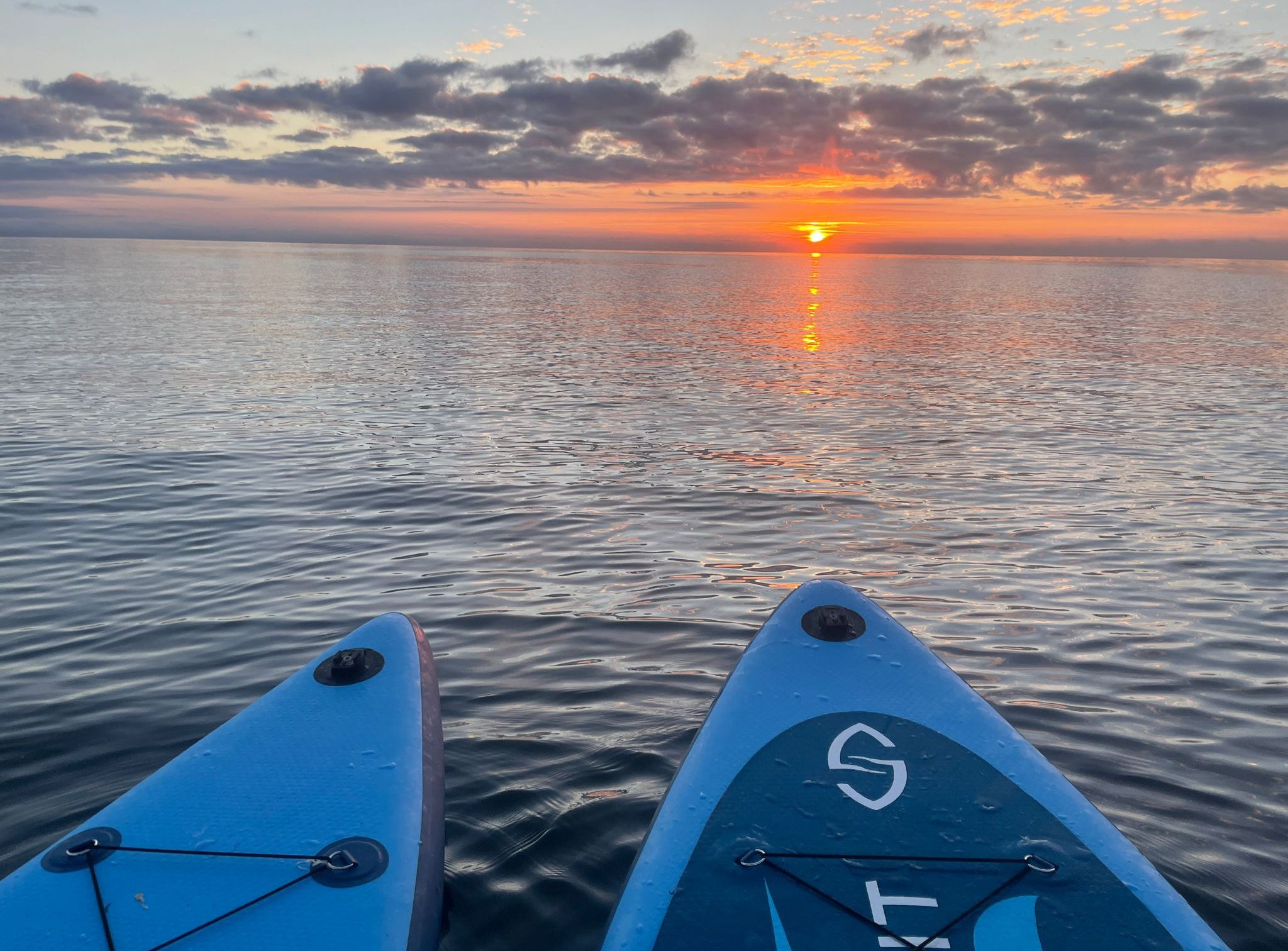 Paddleboards on the water