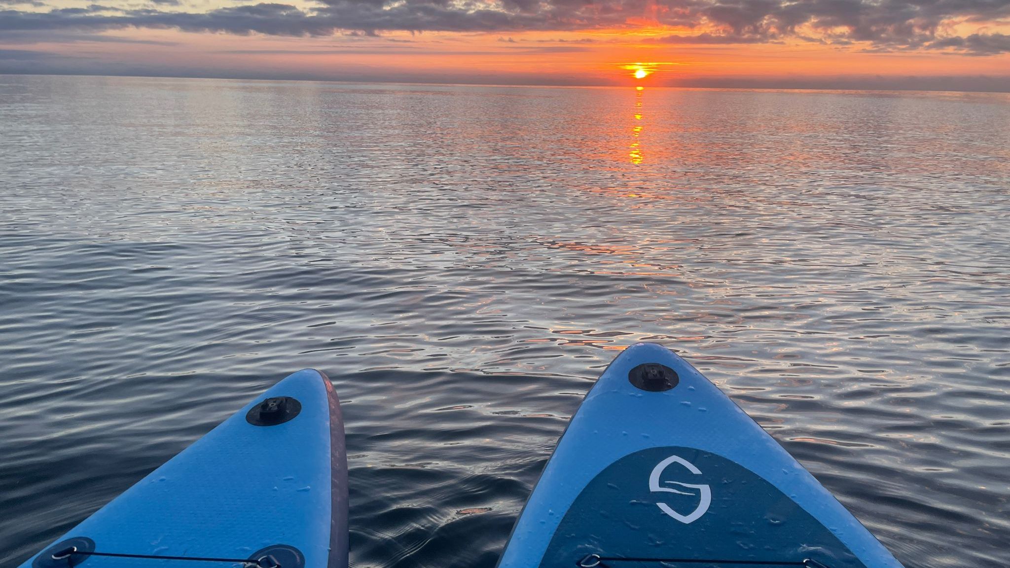 Paddleboards on the water