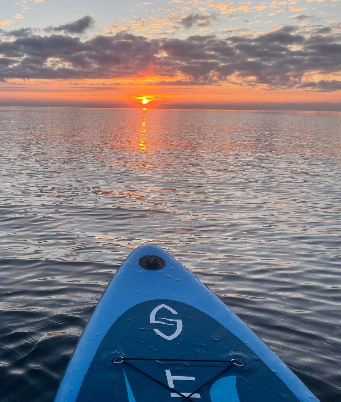 Paddleboards on the water