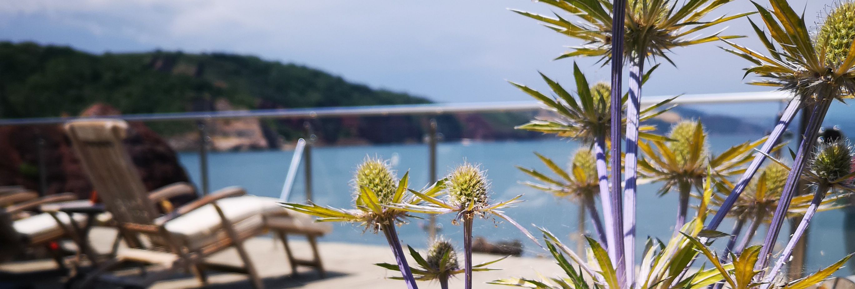 Sun loungers overlooking the water