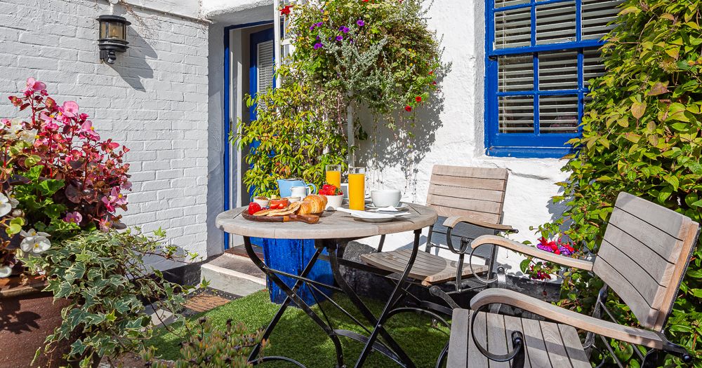 Shell Web versions-3