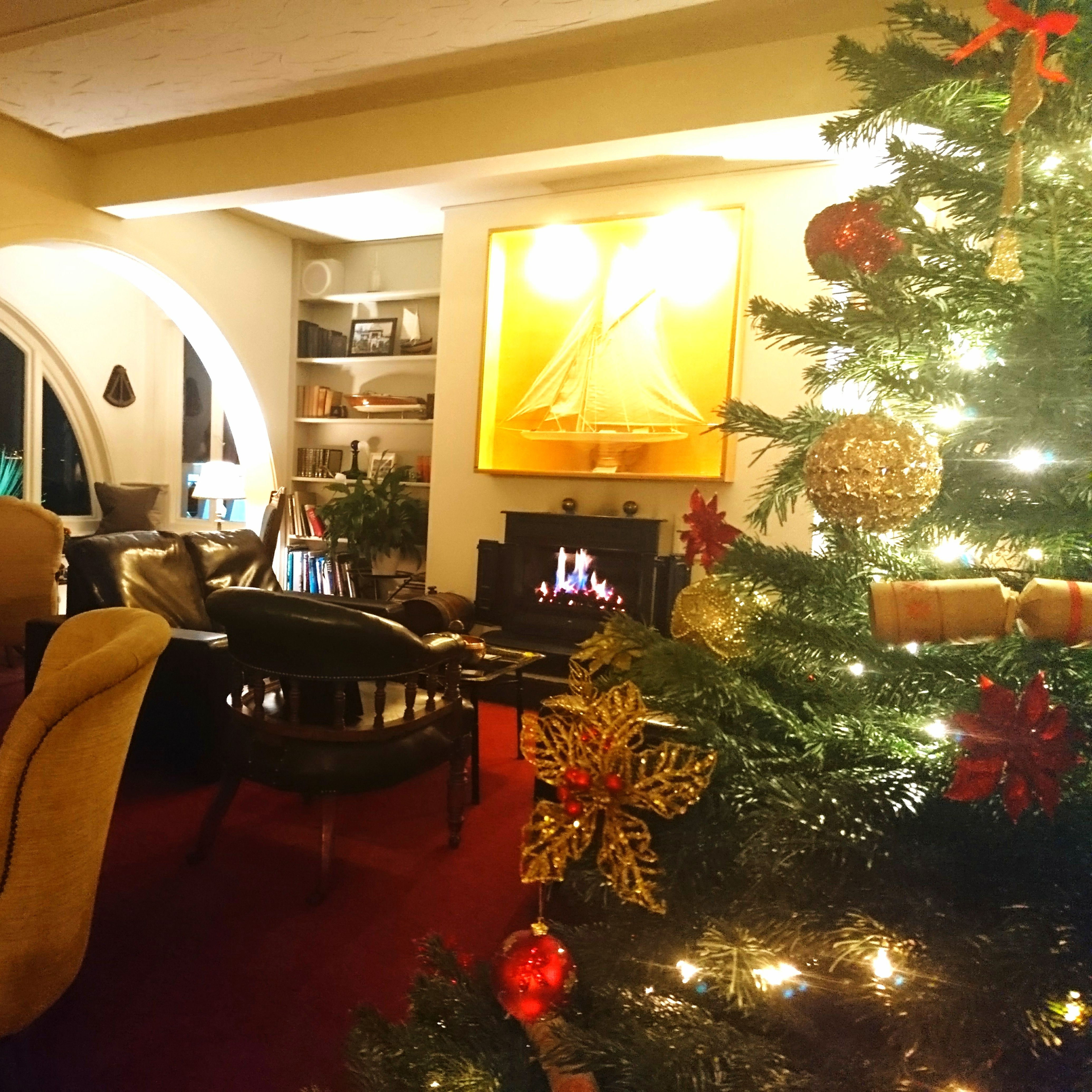 Cozy living room with a decorated Christmas tree, fireplace, and comfortable seating