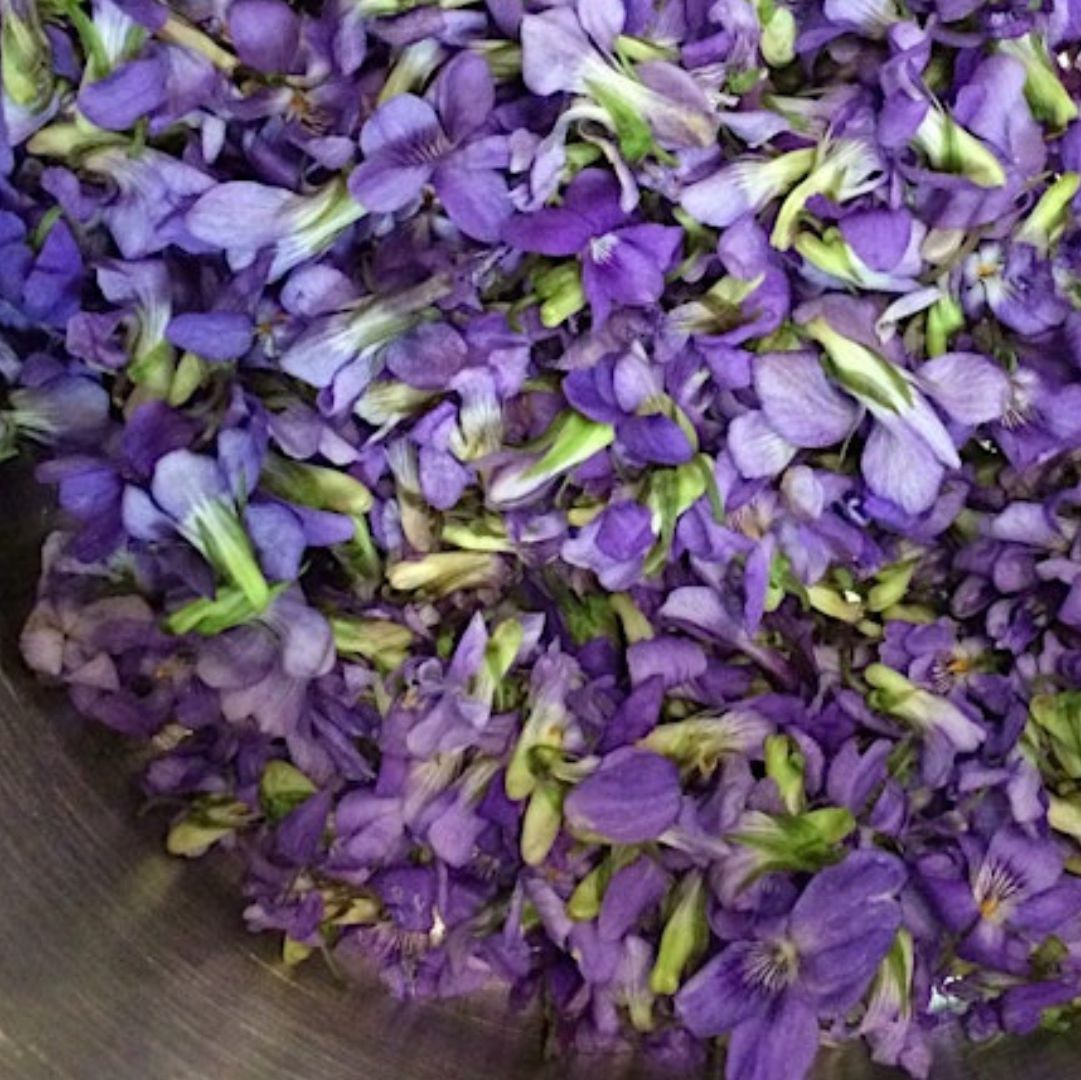 A close-up view of a large pile of purple violet flowers.