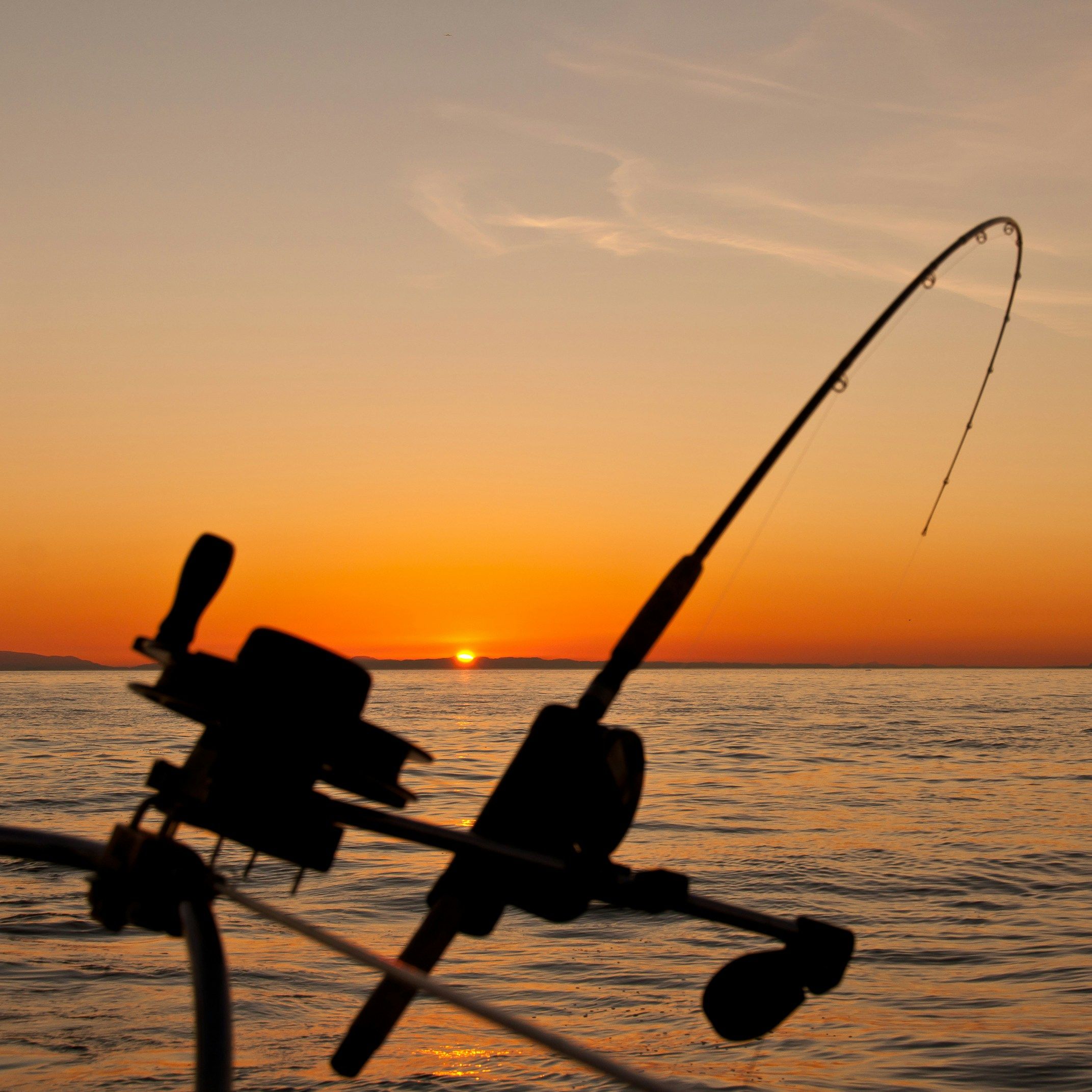 Fishing rod silhouette against an orange sunset over the water