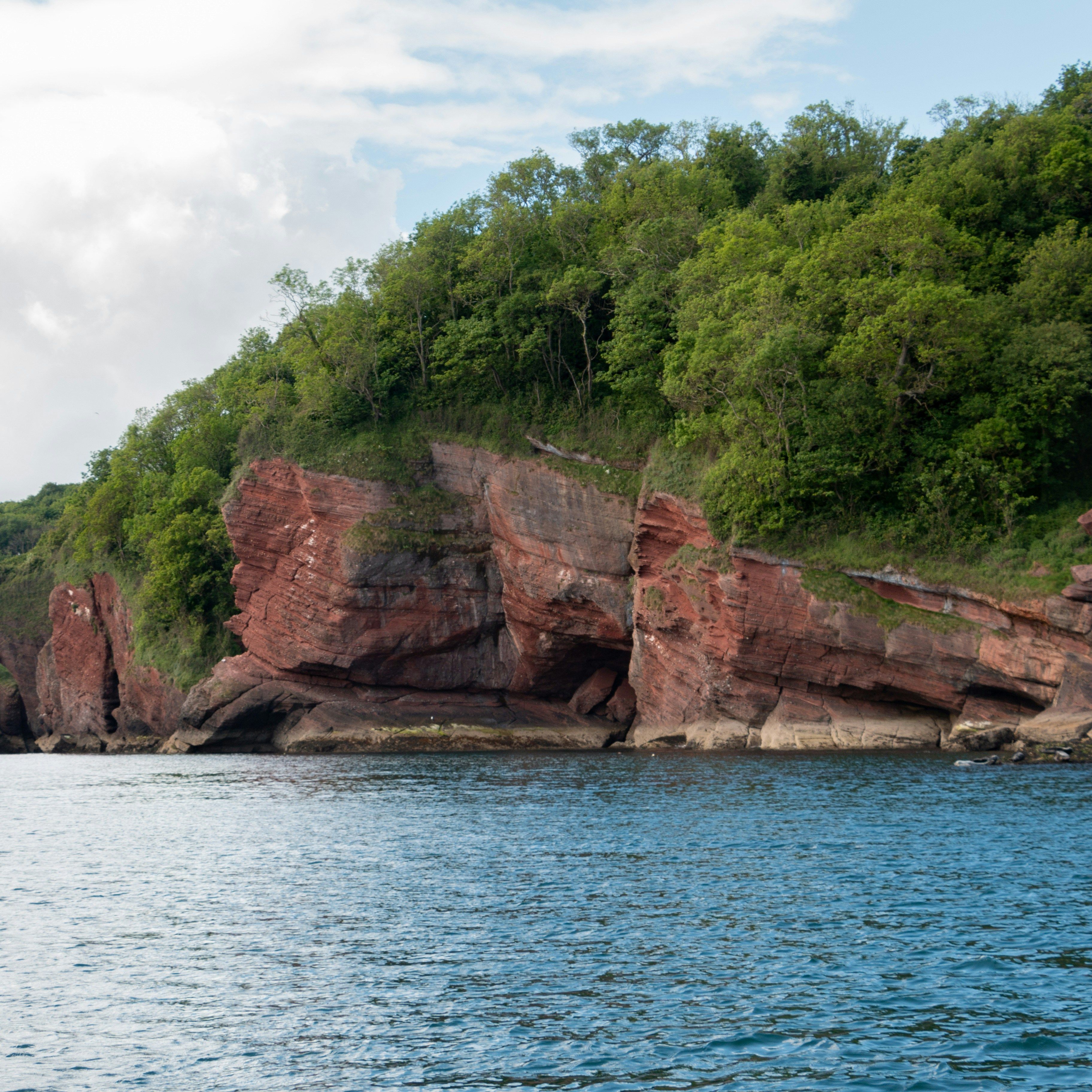 Coastal red cliffs covered with green trees beside calm blue water