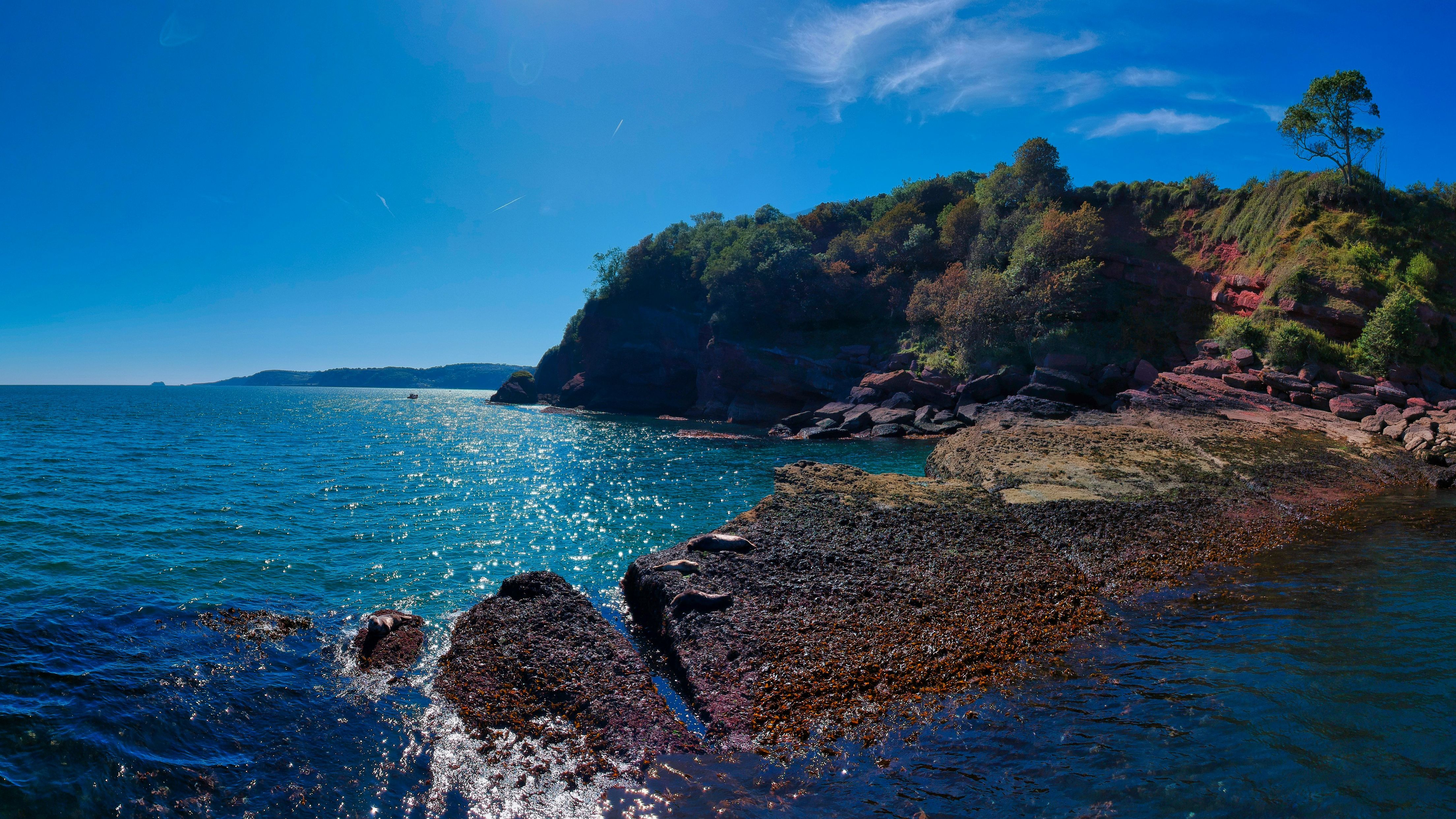 Rocky coastal shoreline with clear blue sea and green cliffs under a bright blue sky.