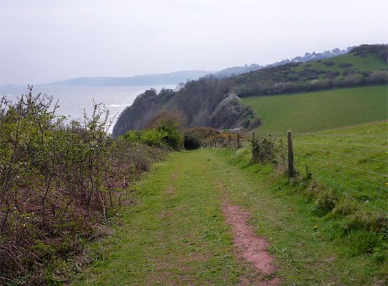 A grassy path bordered by fence and shrubs leading towards the coast and cliffs.
