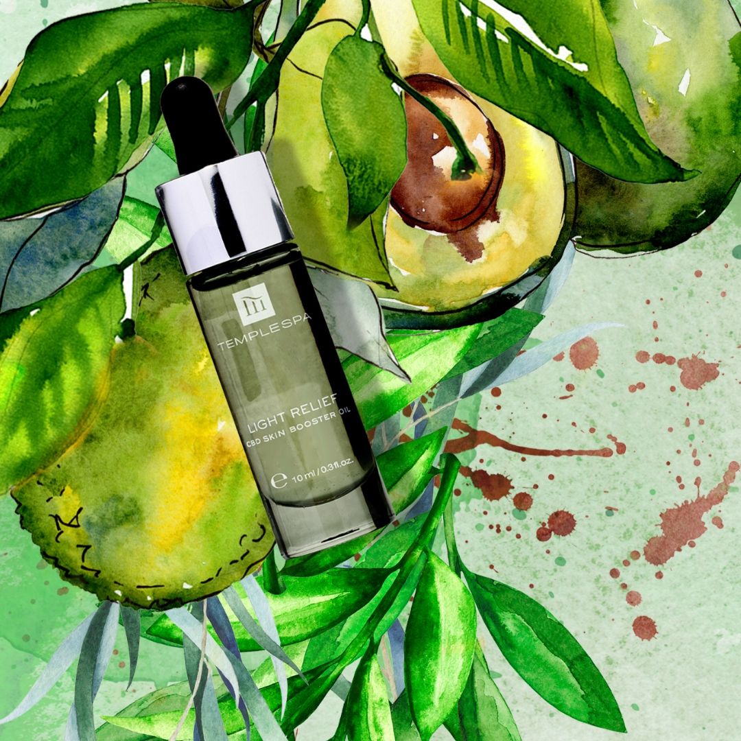 Temple Spa Light Relief CBD Skin Booster Oil bottle over a watercolor illustration of avocados and green leaves.