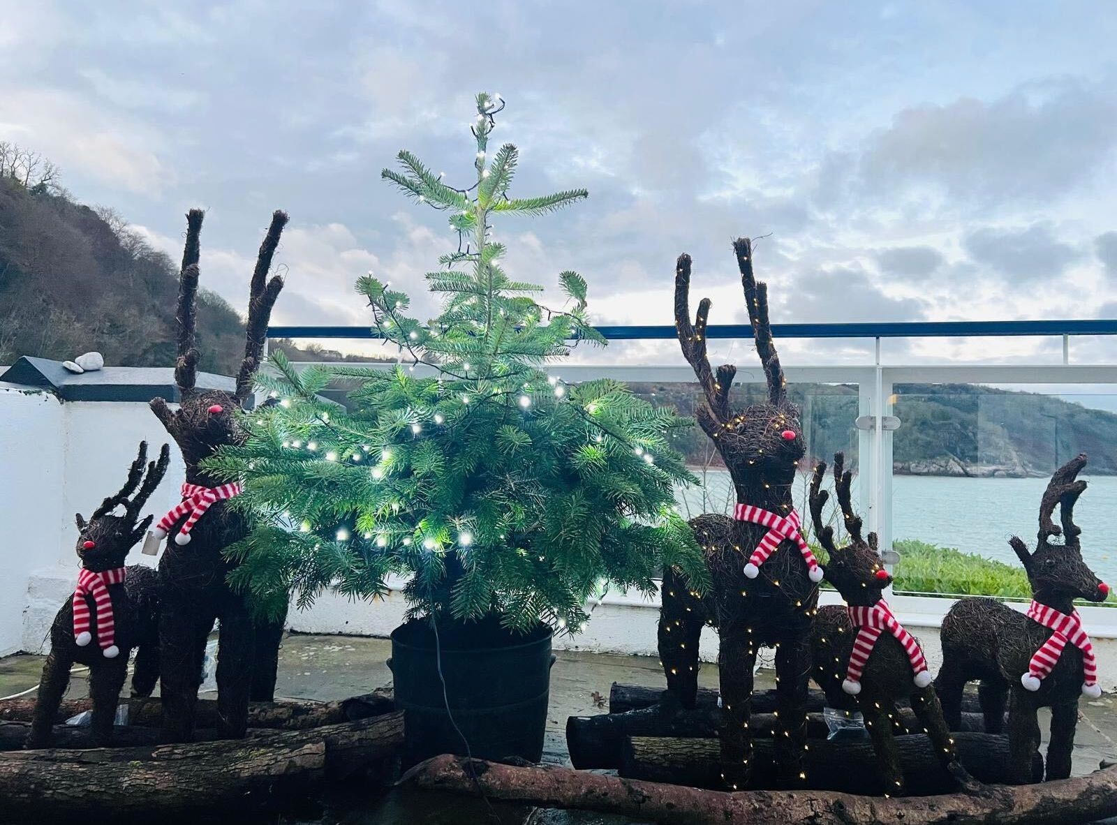 Decorative outdoor Christmas scene with a small lit tree and reindeer figures wearing red striped scarves
