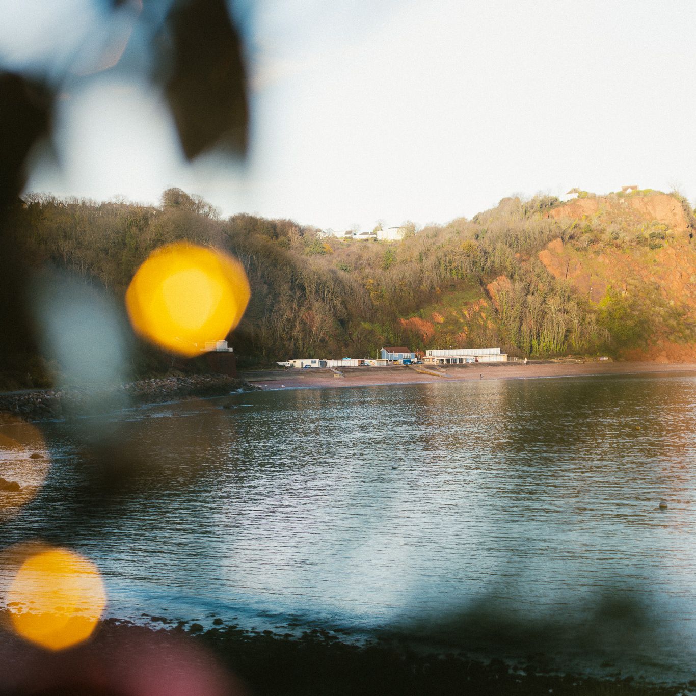 Coastal view of a bay with trees on the hillside, buildings near the shore, and blurred lights in the foreground.