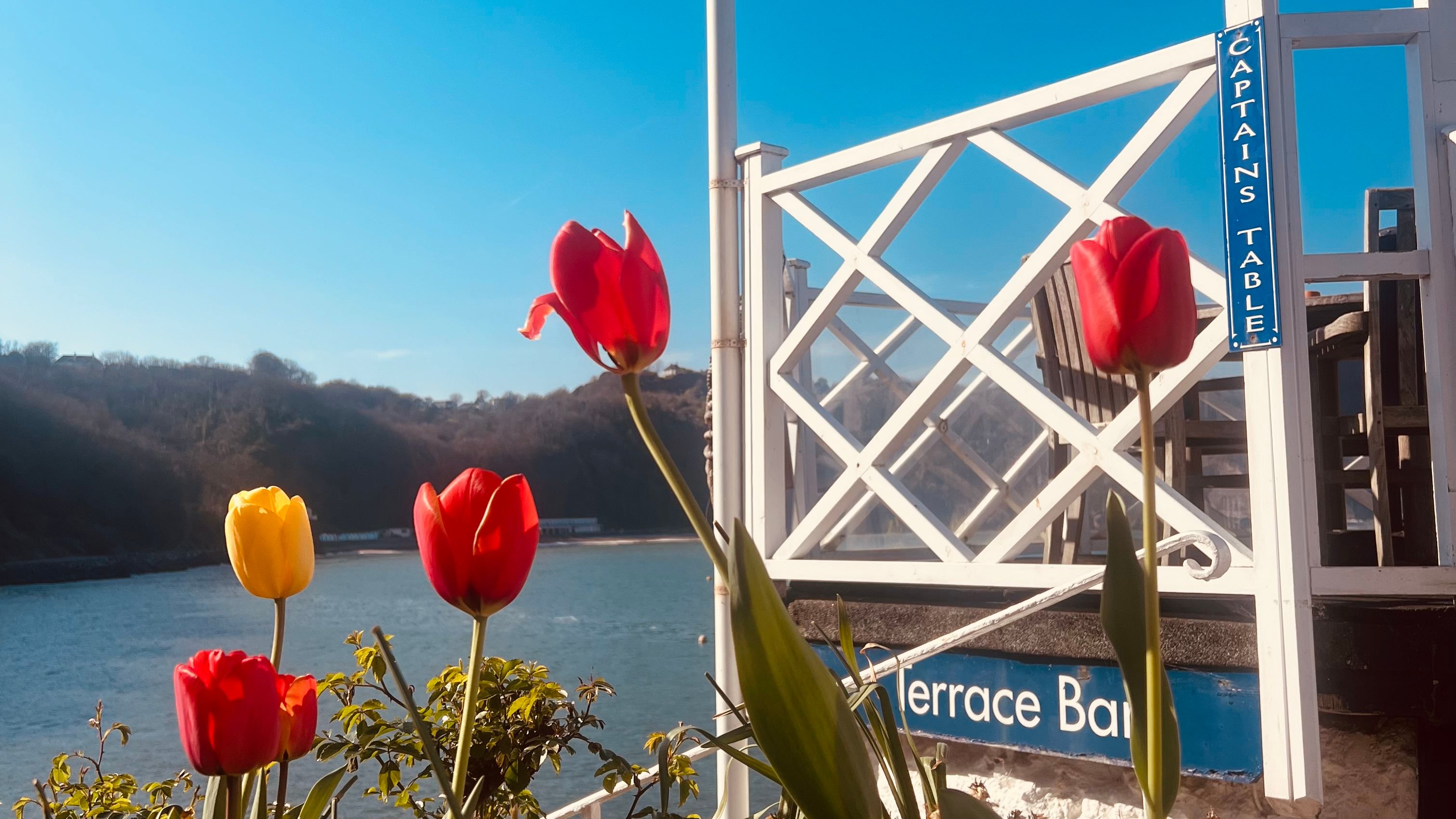 Colorful tulips in bloom near a terrace by the water, with a weather vane and clear blue sky in the background.