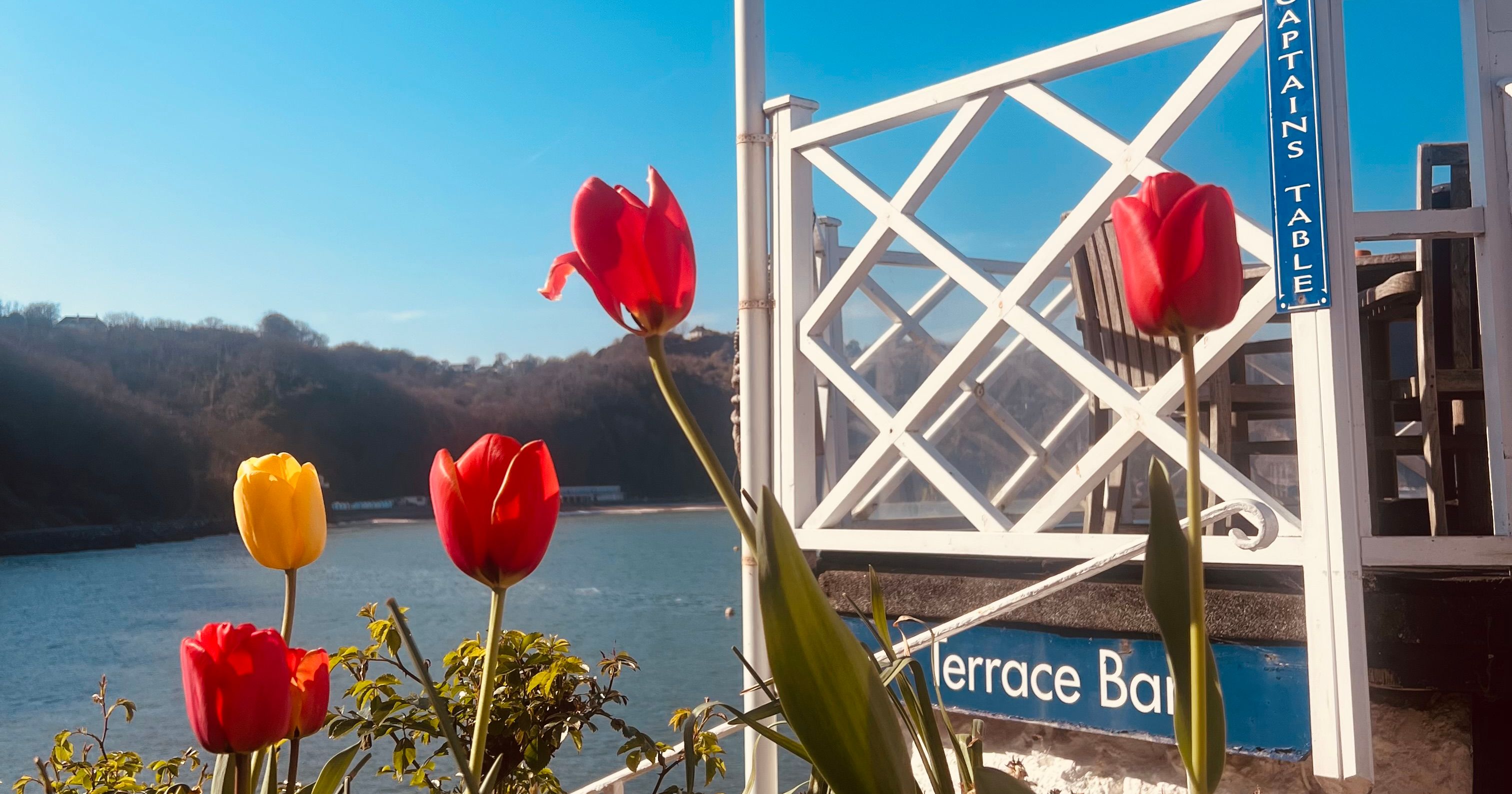 Colorful tulips in bloom near a terrace by the water, with a weather vane and clear blue sky in the background.