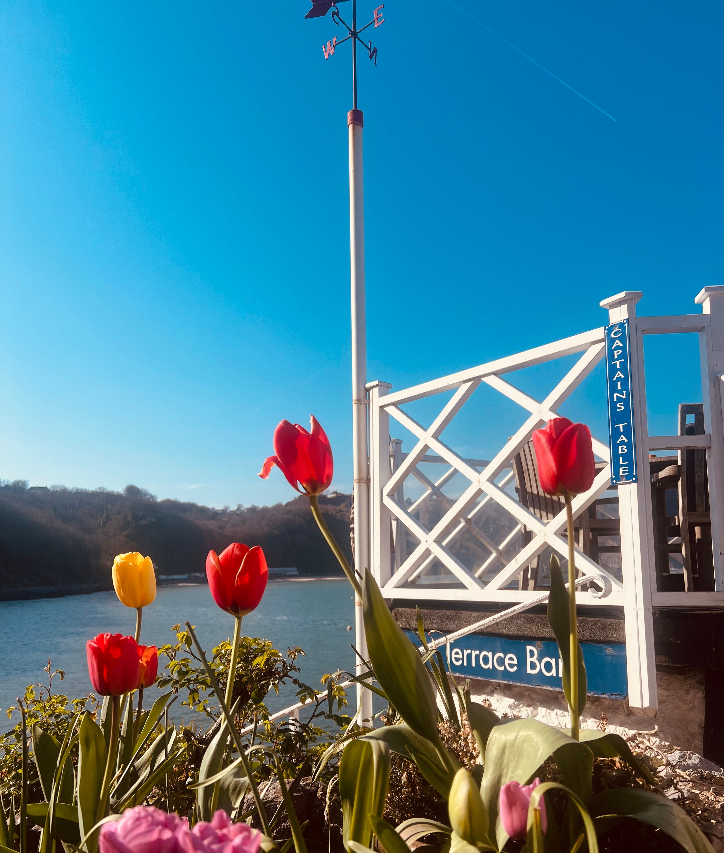 Colorful tulips in bloom near a terrace by the water, with a weather vane and clear blue sky in the background.