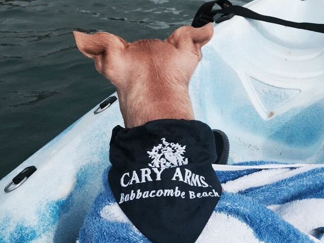 Cary Arms Dog on Boat